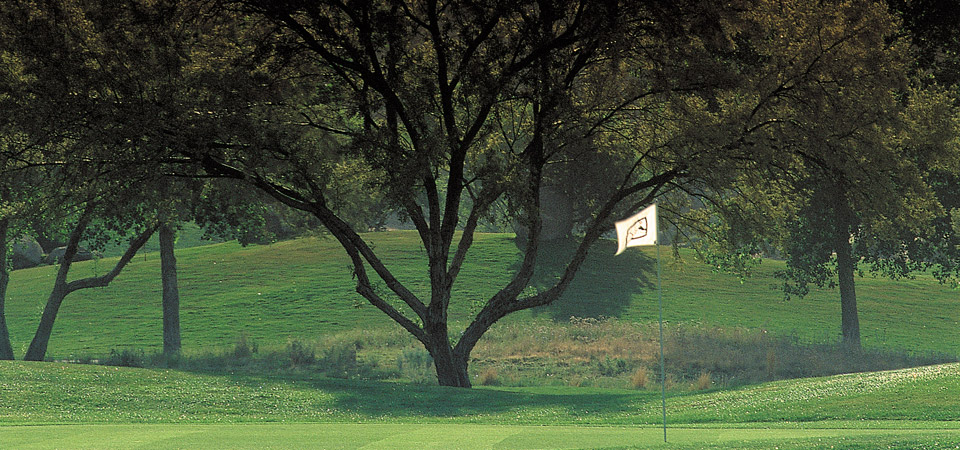 Image of Tanoan golf course with tree